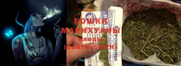 прущие грибы Верхний Тагил