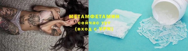прущие грибы Верхний Тагил
