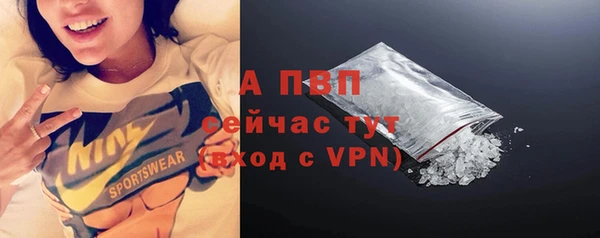 прущие грибы Верхний Тагил