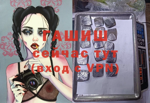 прущие грибы Верхний Тагил