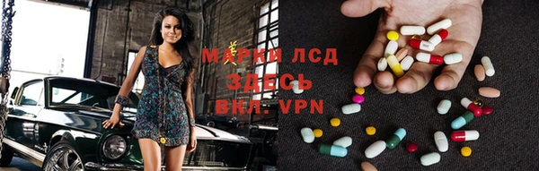 прущие грибы Верхний Тагил