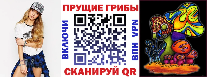 Псилоцибиновые грибы мухоморы  Купить закладки  Касли 